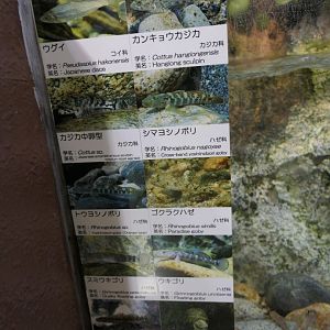 Signage example - Uozu Aquarium