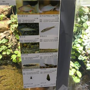 Signage example - Uozu Aquarium