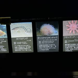 Signage example - Uozu Aquarium