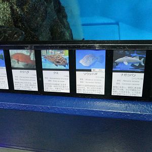 Signage example - Uozu Aquarium