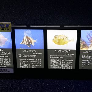 Signage example - Uozu Aquarium