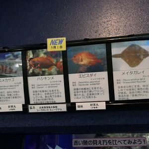 Signage example - Uozu Aquarium