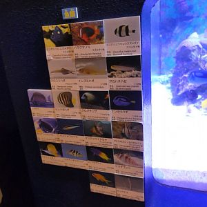 Signage example - Uozu Aquarium