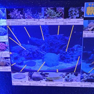 Signage example - Uozu Aquarium