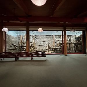 Toledo Zoo - Kingdom of the Apes - Interpretive Center