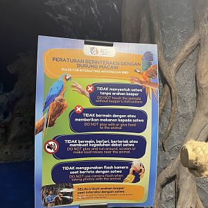 macaw rules signage