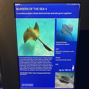 seashore tank - cowtail stingray signage