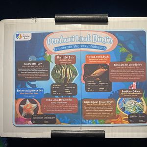 cold water fishes tank signage