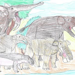 Proboscideans on Parade