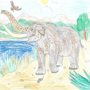 Once upon a time in Mexico