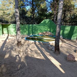 Bar-headed goose exhibit - Bioparque La Rocha