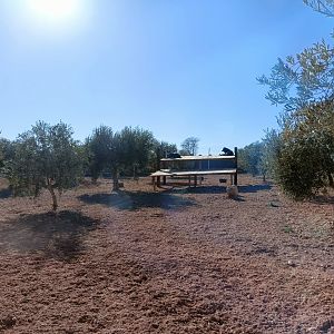 Wolf exhibit - Bioparque La Rocha