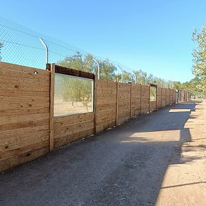 Viewing for wolf exhibit - Bioparque La Rocha
