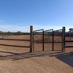 Zebra exhibit - Bioparque La Rocha