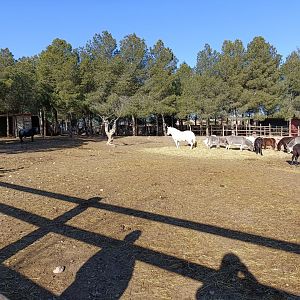 Horse exhibit - Bioparque La Rocha