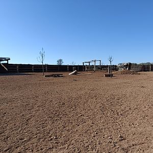 Zebra exhibit - Bioparque La Rocha