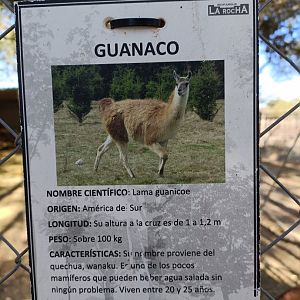 Sign - Bioparque La Rocha