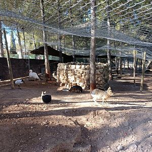 Mixed exhibit - Bioparque La Rocha