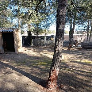 Capybara exhibit - Bioparque La Rocha