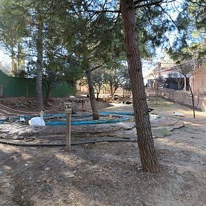 Waterfowl walkthrough - Bioparque La Rocha