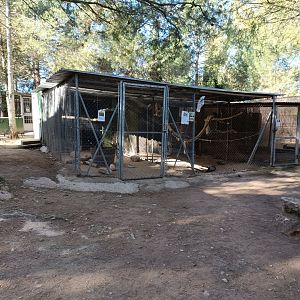 General view - Bioparque La Rocha