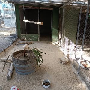 Mixed exhibit - Bioparque La Rocha