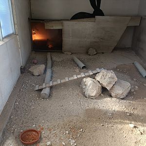 Meerkat indoor exhibit - Bioparque La Rocha