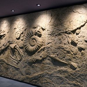 Fossil replicas