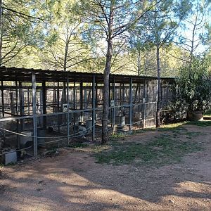 Chicken aviaries - Bioparque La Rocha