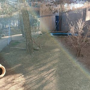 Turtle exhibit - Bioparque La Rocha