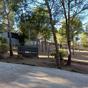 Emu exhibit - Bioparque La Rocha