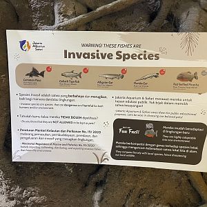 invasive fishes signage