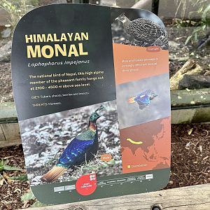 Himalayan Monal Signage