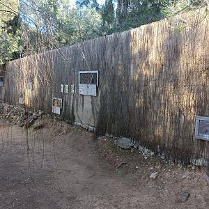 Viewing for brids of prey exhibits - Bioparque La Rocha