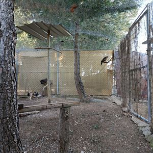 Kite exhibit - Bioparque La Rocha