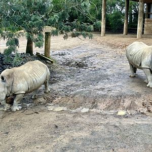 Kito and Zahra (Mother and Daughter)