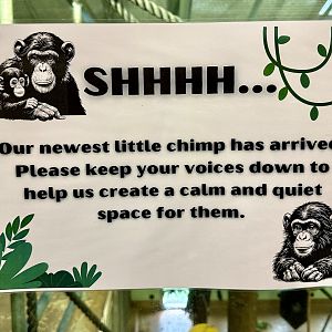 Chimpanzee Birth Signage