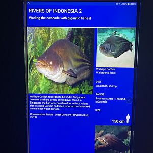 rivers of indonesia - tapah signage