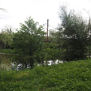Greater flamingo and African bird aviary, 2024-08-21