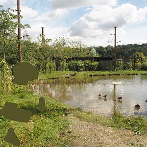 Greater flamingo and African bird aviary, 2024-08-21