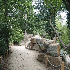 New walkway towards new Asian stork aviaries, 2025-07-12