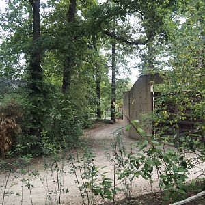 Closed off former walkway next to the gate into and wall around the Asian elephant exhibit, 2025-07-12