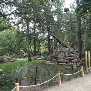 New Asian woolly-necked stork aviary, 2025-07-12