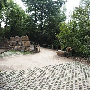 New visitor walkway and closed off former visitor walkway next to the elephant exhibit, 2025-07-12