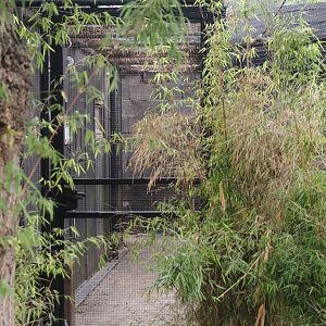 Keeper area between the new Asian stork aviaries, 2025-07-12