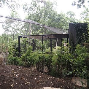 Separation aviary next to the new Oriental white stork aviary,  2025-07-12