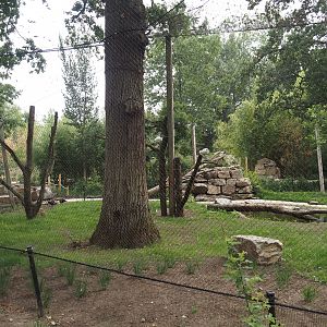 New Oriental white stork aviary, 2025-07-12