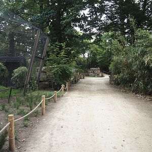New walkway next to the new Asian stork aviaries, 2025-07-12