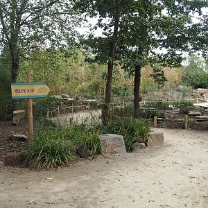 New walkway near the new Asian stork aviaries, 2025-07-12