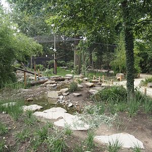 New creek near running into the new Oriental white stork aviary, 2025-07-12